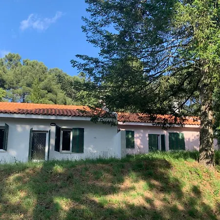 Bel Douro Villa Torre De Moncorvo Exterior photo